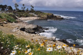 La Jolla Cove