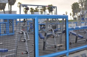 Muscle Beach Gym