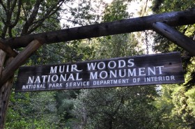 Muir Woods Sign