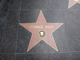 Donald Duck Star