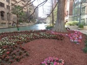 San Antonio River Walk Flower Bed