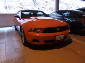 Our Mustang