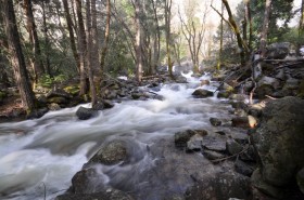 Bridal Veil Falls Base