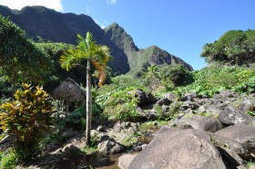 Views from Iao Valley