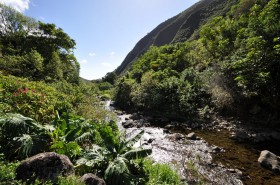 Stream in Iao Valley