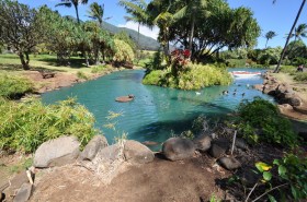 Tropical Plantation Pond