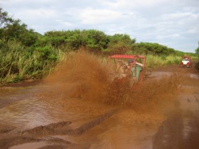 Mud in the Face!