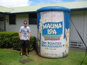 Macadamia Nut Factory