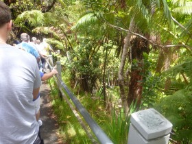 Walkway to Thurston Lava Tube