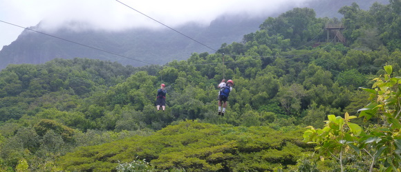 Treetop Ziplining