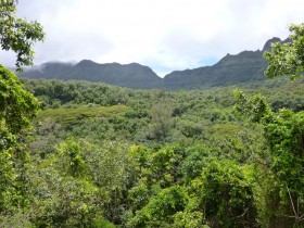 View of Mountains