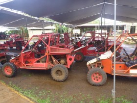 Mud Buggies