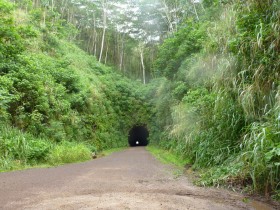 Tunnel on the track