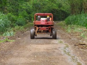 Buggy in Front