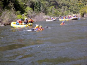 People Swimming