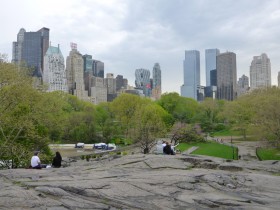 View from Central Park