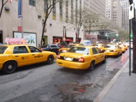 Yellow Taxi's